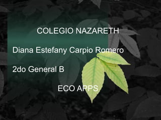 COLEGIO NAZARETH
Diana Estefany Carpio Romero
2do General B
ECO APPS
 