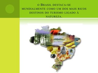 o Brasil destaca-se mundialmente como um dos mais ricos destinos do turismo ligado à natureza. 