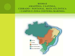 BIOMAS  AMAZÔNIA, CAATINGA, CERRADO / PANTANAL, MATA ATLÂNTICA / CAMPOS E ZONA COSTEIRA MARINHA. 