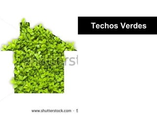 Techos Verdes.
 