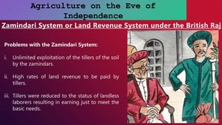 Agriculture on the Eve of
Independence
Zamindari System or Land Revenue System under the British Raj
Problems with the Zamindari System:
i. Unlimited exploitation of the tillers of the soil
by the zamindars.
ii. High rates of land revenue to be paid by
tillers.
iii. Tillers were reduced to the status of landless
laborers resulting in earning just to meet the
basic needs.
 