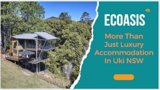 Ecoasis –
More Than
Just Luxury
Accommodation
In
Uki NSW
 