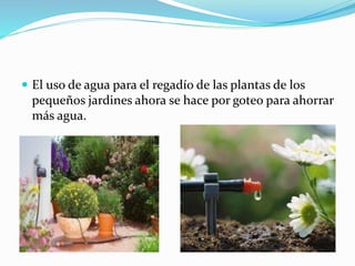  El uso de agua para el regadío de las plantas de los
pequeños jardines ahora se hace por goteo para ahorrar
más agua.