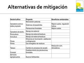 Sector/cultivo Proyecto Beneficios ambientales
Ganadería carne o
doble propósito
Renovación pasturas
Sistemas silvopastoriles
Mejora suelos, regulación
hidrica
Plantaciones forestales Mejora suelos
Ganadería de leche Manejo de estiercol
Porcicultura Manejo de estiercol/residuos
Avicultura Manejo de estiercol/residuos
Flores
Eficiencia en iluminación, calefacción
y refrigeración
Flores Uso energético de residuos
Tabaco Cambio en procesos de secado
Reducción cont.
Atmosferica
Forestal
Establecimiento de plantaciones
forestales
Servicios
agropecuarios Nuevos fertilizantes
 