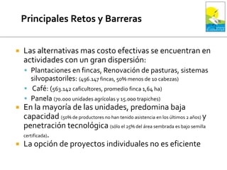  Las alternativas mas costo efectivas se encuentran en
actividades con un gran dispersión:
 Plantaciones en fincas, Renovación de pasturas, sistemas
silvopastoriles: (496.147 fincas, 50% menos de 10 cabezas)
 Café: (563.142 caficultores, promedio finca 1,64 ha)
 Panela (70.000 unidades agrícolas y 15.000 trapiches)
 En la mayoría de las unidades, predomina baja
capacidad (50% de productores no han tenido asistencia en los últimos 2 años) y
penetración tecnológica (sólo el 25% del área sembrada es bajo semilla
certificada).
 La opción de proyectos individuales no es eficiente
 