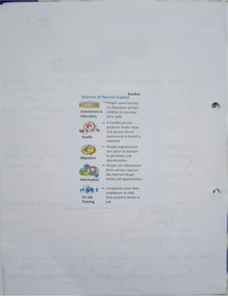 Eco Boards project for class 12 on human capital formation in india.pdf