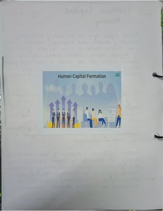 Human Capital Formation File.pdf Eco Boards project for class 12 on human capital formation in india.pdf