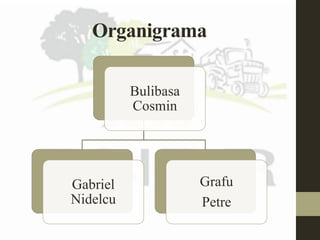 Organigrama
Bulibasa
Cosmin
Gabriel
Nidelcu
Grafu
Petre
 