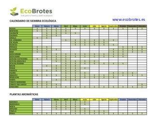 www.ecobrotes.es
 