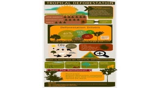 Eco by teeratorn