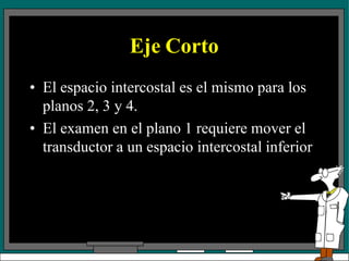 Eje Corto
• El espacio intercostal es el mismo para los
planos 2, 3 y 4.
• El examen en el plano 1 requiere mover el
transductor a un espacio intercostal inferior
 