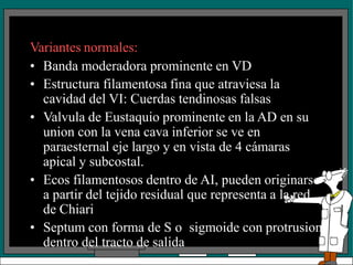 Variantes normales:
• Banda moderadora prominente en VD
• Estructura filamentosa fina que atraviesa la
cavidad del VI: Cuerdas tendinosas falsas
• Valvula de Eustaquio prominente en la AD en su
union con la vena cava inferior se ve en
paraesternal eje largo y en vista de 4 cámaras
apical y subcostal.
• Ecos filamentosos dentro de AI, pueden originarse
a partir del tejido residual que representa a la red
de Chiari
• Septum con forma de S o sigmoide con protrusion
dentro del tracto de salida
 