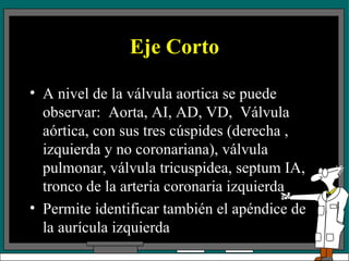 Eje Corto A nivel de la válvula aortica se puede observar:  Aorta, AI, AD, VD,  Válvula aórtica, con sus tres cúspides (derecha , izquierda y no coronariana), válvula pulmonar, válvula tricuspidea, septum IA, tronco de la arteria coronaria izquierda Permite identificar también el apéndice de la aurícula izquierda 