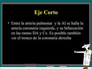 Eje Corto Entre la arteria pulmonar  y la AI se halla la arteria coronaria izquierda, y su bifurcación en las ramas DA y Cx. Es posible también ver el tronco de la coronaria derecha 