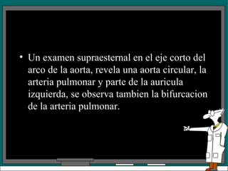 Un examen supraesternal en el eje corto del arco de la aorta, revela una aorta circular, la arteria pulmonar y parte de la auricula izquierda, se observa tambien la bifurcacion de la arteria pulmonar. 