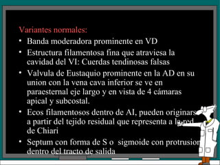 Variantes normales: Banda moderadora prominente en VD Estructura filamentosa fina que atraviesa la cavidad del VI: Cuerdas tendinosas falsas Valvula de Eustaquio prominente en la AD en su union con la vena cava inferior se ve en paraesternal eje largo y en vista de 4 cámaras apical y subcostal. Ecos filamentosos dentro de AI, pueden originarse a partir del tejido residual que representa a la red de Chiari Septum con forma de S o  sigmoide con protrusion dentro del tracto de salida 
