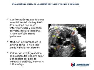 ecocardiografia-fetal-ppt
