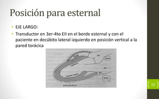Posición para esternal
• EJE LARGO:
• Transductor en 3er-4to EII en el borde esternal y con el
paciente en decúbito lateral izquierdo en posición vertical a la
pared torácica
12
 