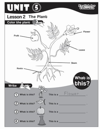 Eco cartilla estudiantes