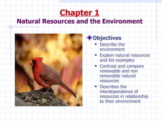 Chapter 1 Natural Resources and the Environment ,[object Object],[object Object],[object Object],[object Object],[object Object]