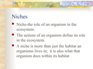 Niche Object Example ecosystem and its niches and population. | PPT