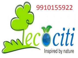 Supertech Ecociti Resale - 9910155922 , Resale Flats in Supertech Ecociti