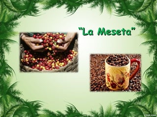 ““La Meseta”La Meseta”
 