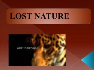 LOST NATURE

 