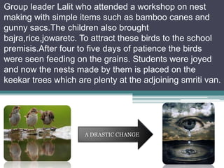Group leader Lalit who attended a workshop on nest
making with simple items such as bamboo canes and
gunny sacs.The children also brought
bajra,rice,jowaretc. To attract these birds to the school
premisis.After four to five days of patience the birds
were seen feeding on the grains. Students were joyed
and now the nests made by them is placed on the
keekar trees which are plenty at the adjoining smriti van.

A DRASTIC CHANGE

 