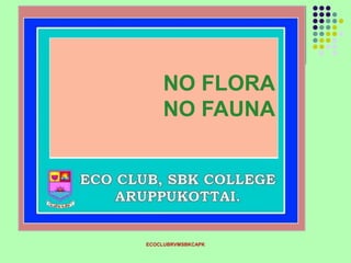 ECOCLUBRVMSBKCAPK
NO FLORA
NO FAUNA
 