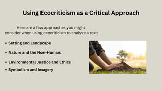 Using Ecocriticism as a Critical Approach
Here are a few approaches you might
consider when using ecocriticism to analyze a text:
Nature and the Non-Human:
Environmental Justice and Ethics
Symbolism and Imagery
Setting and Landscape
 