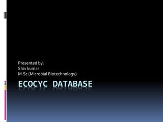 ECOCYC DATABASE
Presented by:
Shiv kumar
M.Sc (Microbial Biotechnology)
 