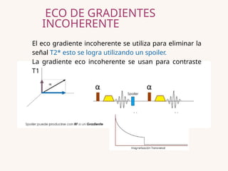 Las secuencias eco de gradiente (GRE) en resonancia magnética | PPTX
