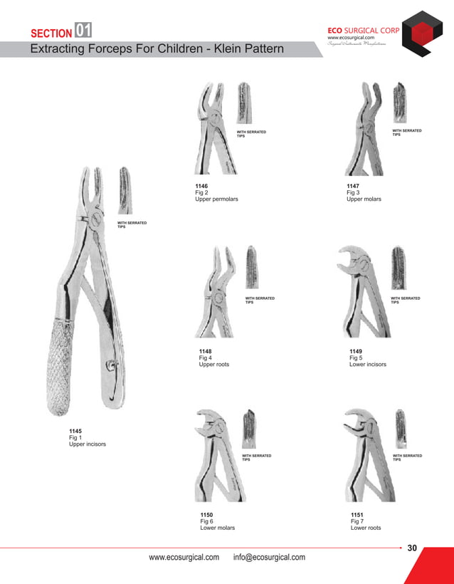 Eco Dental Instruments Catalogue | PDF