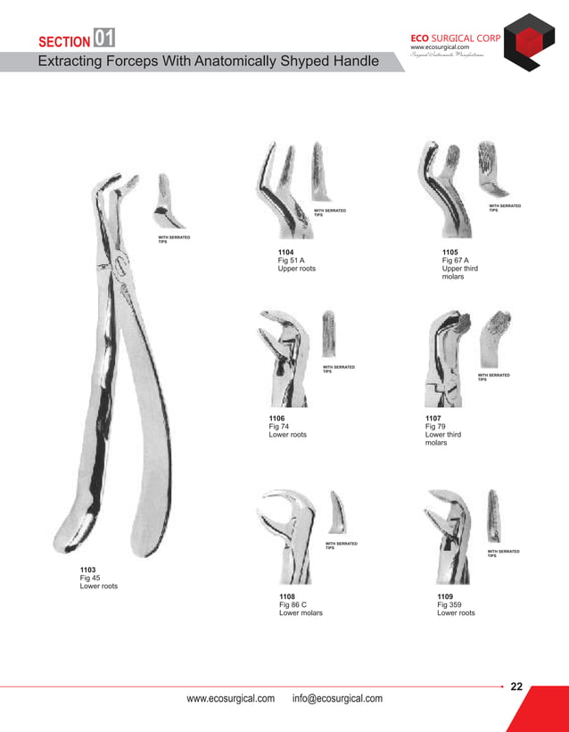 Eco Dental Instruments Catalog | PDF