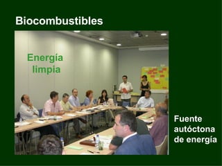 Biocombustibles Energía  limpia Fuente  autóctona de energía 