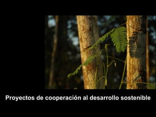 Proyectos de cooperación al desarrollo sostenible 