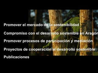 Promover el mercado de la sostenibilidad Compromiso con el desarrollo sostenible en Aragón Promover procesos de participación y mediación Proyectos de cooperación al desarrollo sostenible Publicaciones 