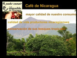 mayor calidad de nuestro consumo calidad de vida productores nicaragüenses conservación de sus bosques tropicales Café de Nicaragua 