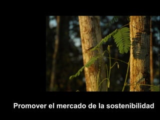 Promover el mercado de la sostenibilidad 