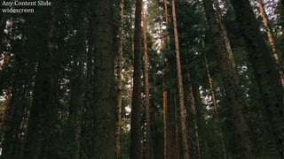 Any Content Slide
widescreen
 