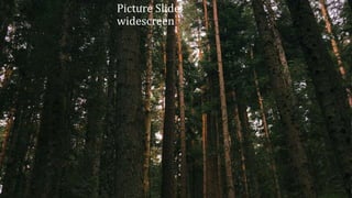 Picture Slide
widescreen
 