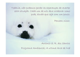 Todavia, não podemos perder as esperanças de reverter
  esta situação. Cada um de nós deve colaborar como
                  pode, ainda que seja com um pouco.

                                      Pensem nisso.




                           Antonio S. R. dos Santos
        Programa Ambiental; A ultima Arca de Noé
 