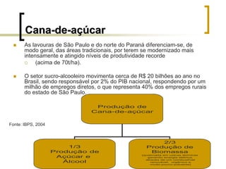 CanaCana--dede--aaçúçúcarcar
As lavouras de São Paulo e do norte do Paraná diferenciam-se, de
modo geral, das áreas tradicionais, por terem se modernizado mais
intensamente e atingido níveis de produtividade recorde
(acima de 70t/ha).
O setor sucro-alcooleiro movimenta cerca de R$ 20 bilhões ao ano no
Brasil, sendo responsável por 2% do PIB nacional, respondendo por um
milhão de empregos diretos, o que representa 40% dos empregos rurais
do estado de São Paulo.
Produção de
Cana-de-açúcar
1/3
Produção de
Açúcar e
Álcool
2/3
Produção de
Biomassa
(queimada em usinas térmicas
gerando energia elétrica,
através de um combustível
renovável, orgânico e
muito pouco poluente)
Produção de
Cana-de-açúcar
1/3
Produção de
Açúcar e
Álcool
2/3
Produção de
Biomassa
(queimada em usinas térmicas
gerando energia elétrica,
através de um combustível
renovável, orgânico e
muito pouco poluente)
Fonte: IBPS, 2004
 