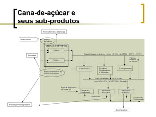 CanaCana--dede--aaçúçúcar ecar e
seus subseus sub--produtosprodutos
ração animal
Biomassa
Embalagem biodegradável
Fonte alternativa de energia
Biocombustível
 