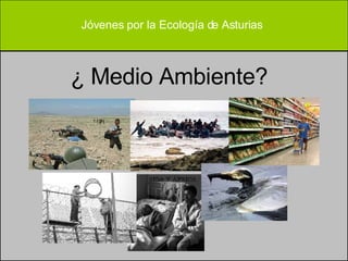 ¿ Medio Ambiente?   Jóvenes por la Ecología de Asturias 