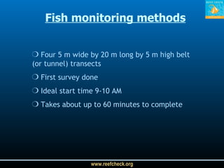 Fish monitoring methods Four 5 m wide by 20 m long by 5 m high belt (or tunnel) transects First survey done Ideal start time 9-10 AM Takes about up to 60 minutes to complete 