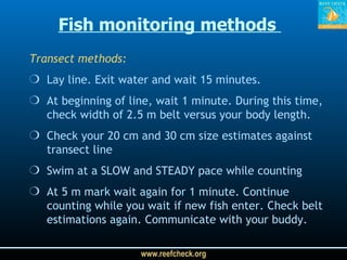 Fish monitoring methods  Transect methods: Lay line. Exit water and wait 15 minutes. At beginning of line, wait 1 minute. During this time, check width of 2.5 m belt versus your body length. Check your 20 cm and 30 cm size estimates against transect line  Swim at a SLOW and STEADY pace while counting At 5 m mark wait again for 1 minute. Continue counting while you wait if new fish enter. Check belt estimations again. Communicate with your buddy. 