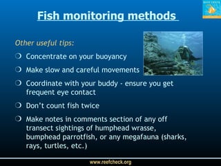 Other useful tips: Concentrate on your buoyancy Make slow and careful movements Coordinate with your buddy - ensure you get frequent eye contact Don’t count fish twice Make notes in comments section of any off transect sightings of humphead wrasse, bumphead parrotfish, or any megafauna (sharks, rays, turtles, etc.) Fish monitoring methods  