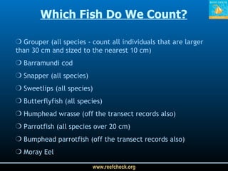 Grouper (all species - count all individuals that are larger  than 30 cm and sized to the nearest 10 cm) Barramundi cod Snapper (all species) Sweetlips (all species) Butterflyfish (all species) Humphead wrasse (off the transect records also) Parrotfish (all species over 20 cm) Bumphead parrotfish (off the transect records also) Moray Eel Which Fish Do We Count? 